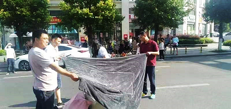 點贊｜烈日下行人被撞倒地，熱心公交人全程守護